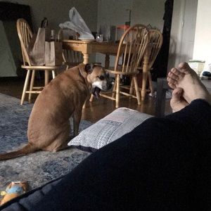 Meet your Posher, Adabella